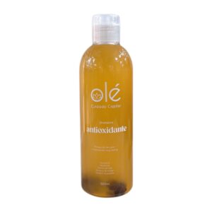 Shampoo Mix Frutas x 500ml Ole Capilar