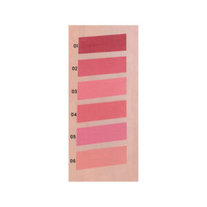 Labial Liquido Y En Barra Ushas